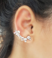 Skulls Climber Earring